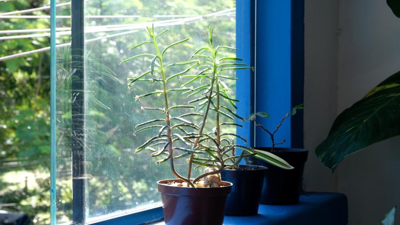 Casa De Praia Búzios エクステリア 写真