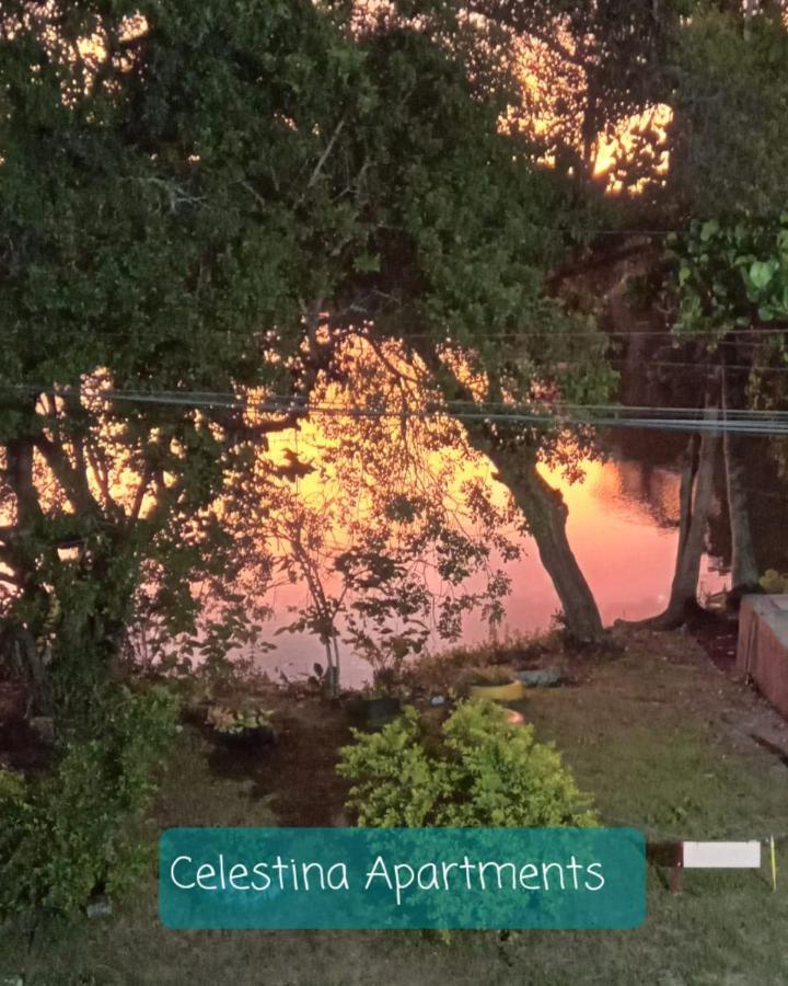 Casa De Praia Búzios エクステリア 写真